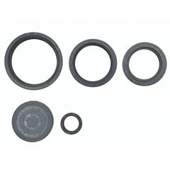 Input shafts seal kit, output flange seals, cover seal DQ200